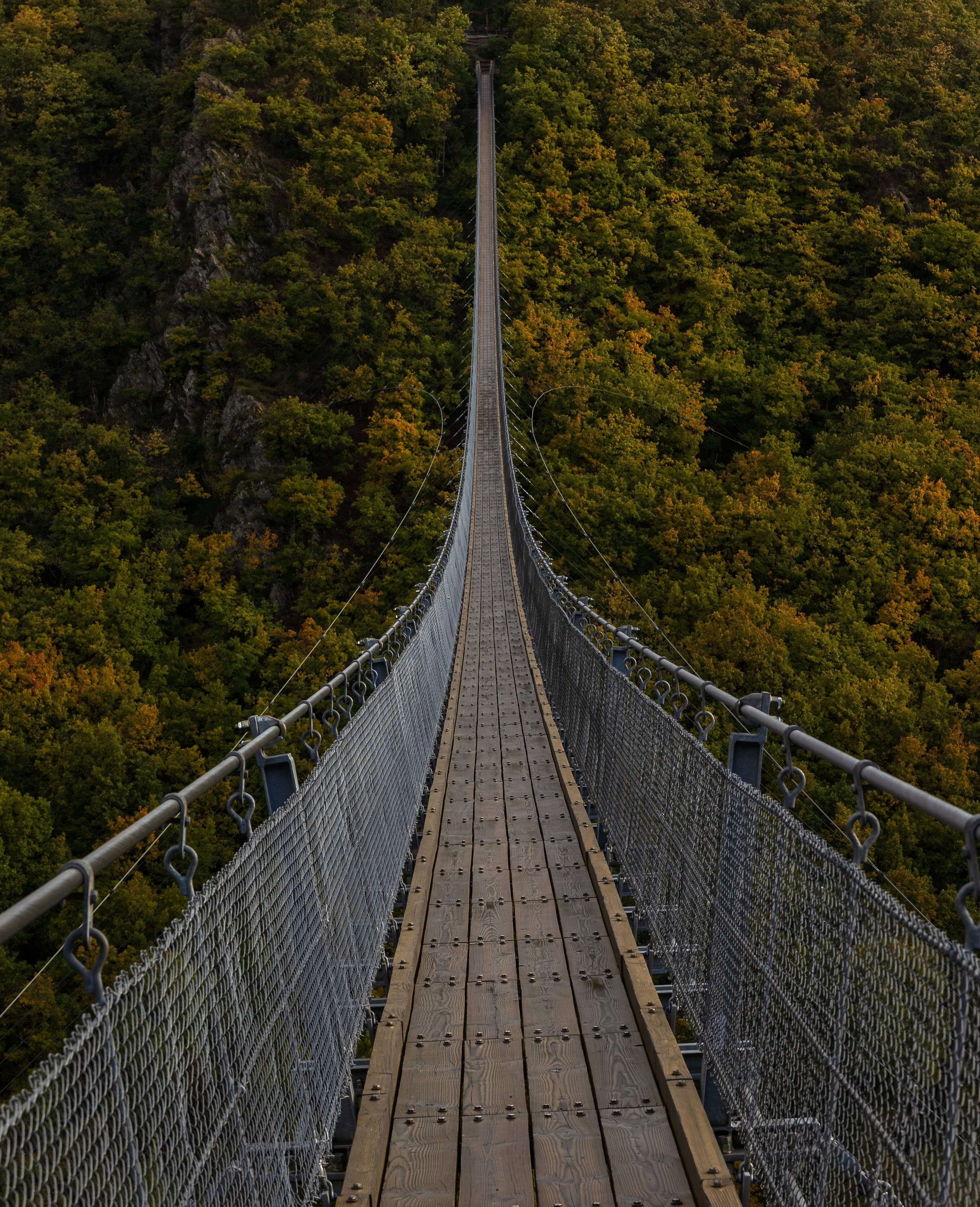pic of bridge
